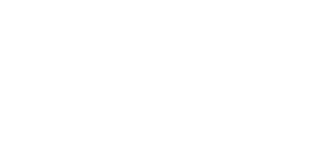 Blue Stone Capital Logo White
